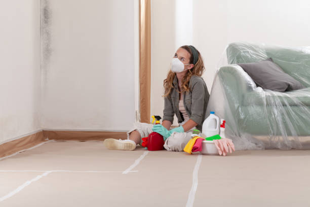 Reliable Mold Testing contractor in Estes Park, CO by WQB Mold Removal